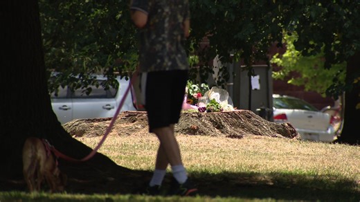 Who was Sarah Noah? Colleagues react to death of DC woman killed by falling tree branch