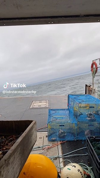 Weeeeeeee 🌊 #lfa #lobster #fyp #commercialfishing #work #yolo