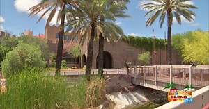 Learn through adventure at the International Wildlife Museum