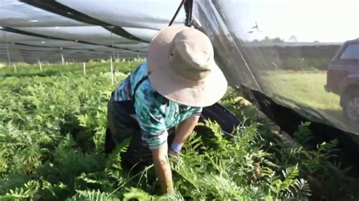 How high temperatures can impact the human body