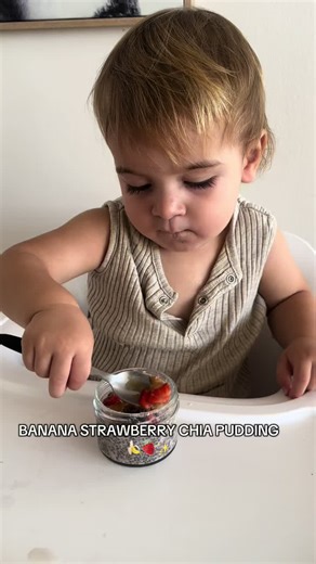 Nutritious Chia Seeds Pudding Recipe for Babies
