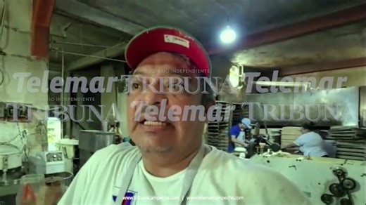 Tribuna Campeche on Instagram: "#CAMPECHE: FALTA DE FRENTES FRÍOS AFECTA VENTA DE PAN, REPORTAN, Y PIDEN A LA CIUDADANÍA CONSUMIR PRODUCTOS COMO PAN GRANDE Y FRANCÉS DE HUEVO Ante una temporada navideña con ventas bajas debido a la ausencia de frentes fríos intensos, el sector panificador de Campeche hizo un llamado a la ciudadanía a apoyar a las panaderías locales consumiendo productos tradicionales, y anunciaron una iniciativa solidaria para el Día de Reyes. Antonio Medina Balam, delegado de l