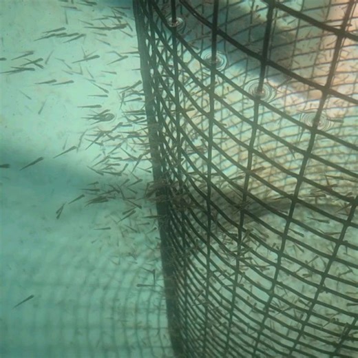 1.2K views · 22 reactions | New Jersey Fish & Wildlife on Reels | Facebook