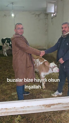 BİGEÇLER OTOMATİV ADANA (@alibigec) adlı kullanıcının orijinal ses - BİGEÇLER OTOMATİV ADANA ile oluşturduğu videoları