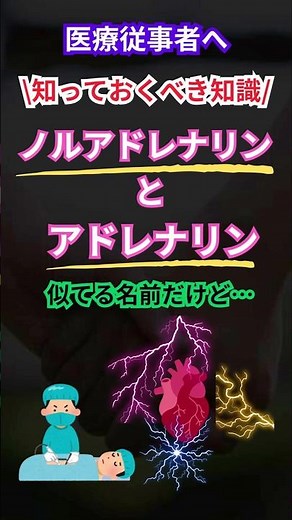 📢医療従事者必見‼️ノルアドレナリン🆚アドレナリンの違い✨ #医療従事者 #リハビリテーション #医師 #看護師 #介護士 #医師 #看護師の卵 #ノルアドレナリン #アドレナリン