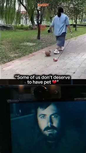 #dog #animalfirstaid #animalfirstaid #animalsavior #animal #dogoodfeelgood #bharatforanimals #bekind