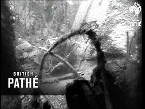 Underwater Cameraman (1950)