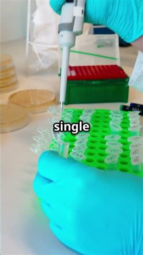 Blue-White Screening False Positives: Why Are Your Colonies Empty?