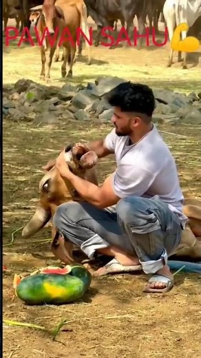 Pawan Sahu Go Seva Hero 🐄 | Inspirational Journey & Bio | Viral Shorts 2025 Pawan sahu shorts video