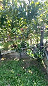 27K views · 543 reactions | Buka kogutan, datang saja sini藍 | Rayner ray | Facebook