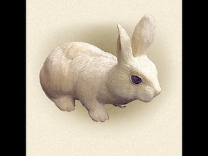 Woodcarving with Foredom power carving tools - including a Cotton Tail Rabbit