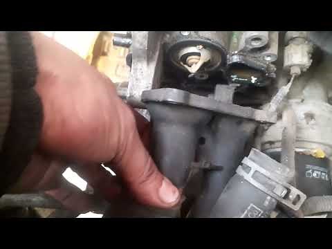 ubicación y como se coloca el termostato ford fiesta 1.6 16v sigma