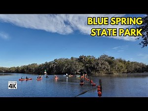 #2. Manatees in 4K: A Walking Tour of Blue Spring State Park, FL