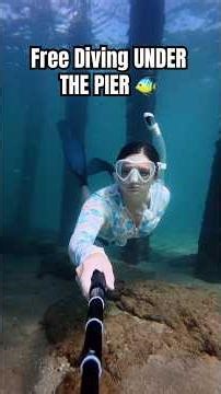 free diving under the pier! #seacreatures #ocean #underwater