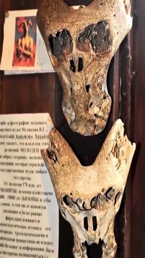 👽ரஷ்யாவில் கிடைத்த ஏலியன் மண்டைஓடு!💀 | Alien Skull Found In Russia | #shorts | Tamil Ultimate