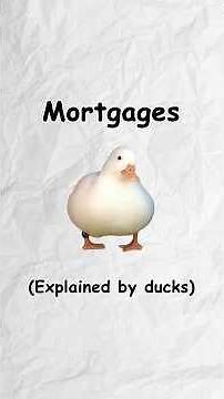 Mortgages (explained by ducks)