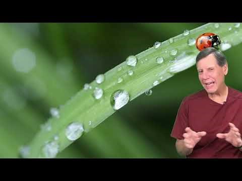 Dew Point vs Relative Humidity - What are they and why should you care?