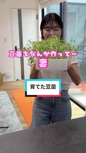 豆苗とふわふわ卵の中華炒め レシピと豆苗の育て方