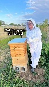 New brood box ✔️ Queen excluder ✔️ Honey super ✔️ The hive’s all set for a busy season, more space for the bees, more honey for me! 🐝🍯 Stick around to see how this setup performs! sweet things are coming😍 #Beekeeping #HomesteadLife #HiveUpgrade #HoneyHarvest #BackyardBeekeeper #homesteader #homesteading #beesonthehomestead #honeybees #honey | High Hope Homestead