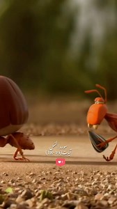 13K views · 116K reactions | Surah Naml❤️ | Quranictheologies | Facebook