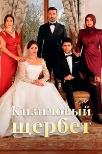 Клюквенный щербет на русском языке смотреть онлайн бесплатно на TurkRu TV