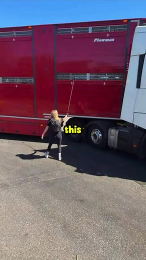 Animals Trucked to Their Death - A Vegan's Plea