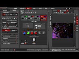 Leica LAS X Software: Projects Tab