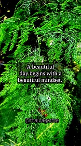 16K views · 559 reactions | A beautiful day begins with a beautiful mindset. #abeautifulday #beautifulmindset #simply #privilege #healthy #moment #start #lifeisablessing #worth #appreciating #reels2025 | Maura Gorme | Facebook