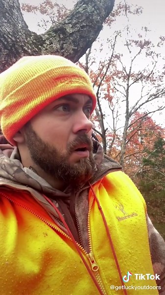 Understanding Deer Management in Whitetail Hunting