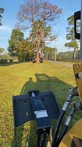 36K views · 355 reactions | Logger work with Tigercat equipment 漢量 . .​ .​ #woodwork #trees #cafe #history #riverlandlogging #logging #tigercat720 #operadoresdemaquinas #loggingindustry #JohnDeere #forest #harvest #satisfaction #Maquina #jonhdeere #colheita #stihl661 #hilightseveryonefollowers2025 #usa #beauty | Jazlyn Smith | Facebook