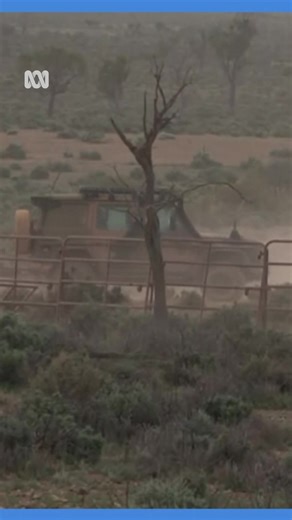 South Australian Police are scaling back the search for a four-year-old boy, who disappeared in the state’s mid-north almost a week ago. An enormous search operation has been undertaken over the past week to search for Gus, who was last seen playing outside his house on a property in Yunta on Saturday evening. "Whilst we have all been hoping for a miracle, that miracle has not eventuated," Assistant Commissioner Ian Parrott said.#ABCNewsSA Choose your news on the ABC NEWS app and stay in the kno