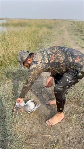 2 gadwalls hunt and halal time #duckhunt #birds