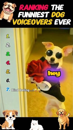 Ranking the FUNNIEST Dog Voiceovers Ever 😂🐶 | #Shorts