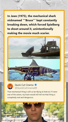 Jaws 1975 Mechanical Shark Bruce Malfunctioned Forcing Spielberg to Create a Scarier Film