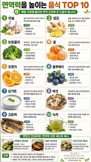 면역력을 높이는 음식 TOP10 #건강 #면역
