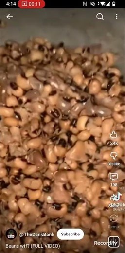 beans wtf meme