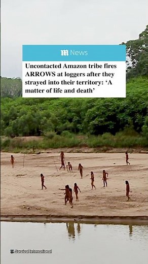 Uncontacted Amazon tribe fires ARROWS at loggers after they strayed into their territory