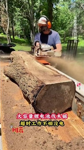 Tree Cutiing Sort And Make Wood Cutiing