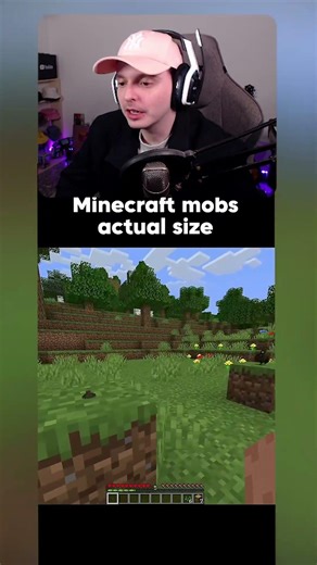 MOBS de Minecraft Tamaño REAL ⛏