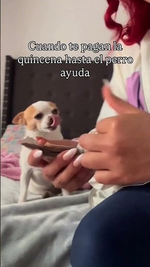 cuando pagan la quincena 😂#parati #viralvideo #viralnews