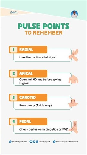 PULSE POINTS #nclex #nclexstudyguide