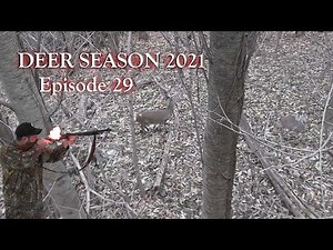 DEER DRIVES with FLINTLOCKS & BOWS! - 4 DEER DOWN on PUBLIC - PA Late Season Deer Hunting 2021-EP 29