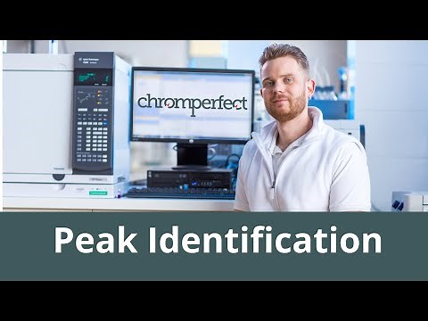 Chromatography software - Peak Identification for GC and HPLC analysis
