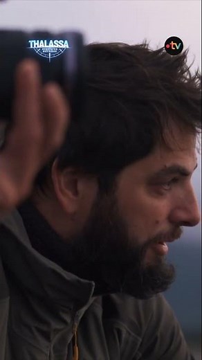 Incredible migration of wild salmon! #Alaska #Thalassa on March 10 on France 5