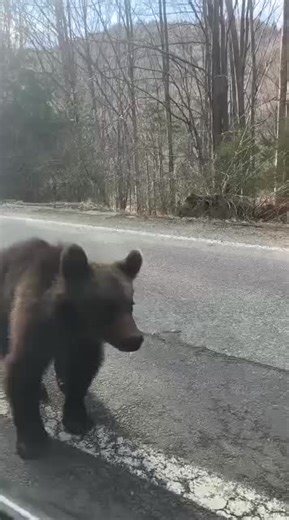 Videa uživatele Prague TAXI CZ (@praguetaxicz) s původní zvuk - Prague TAXI CZ