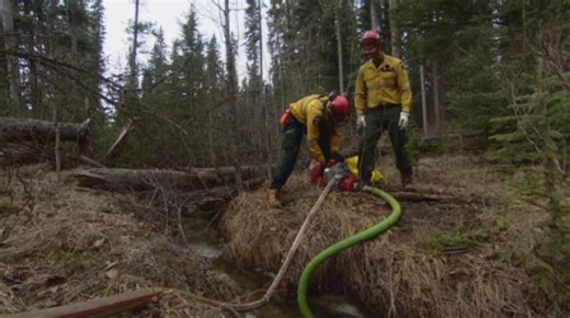 'Crucial springtime': Why Alberta's wildfire season is off to a better start - The Weather Network