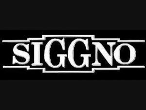 Siggno - Estupida (Sizzur's Jamz)