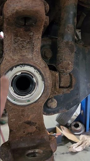 f250/f350 axle tube seals.