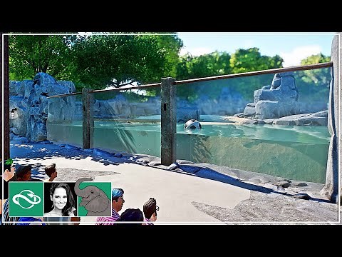 🐘 California Sea Lion Habitat with Seating & Underwater Gallery in City Zoo | Planet Zoo |