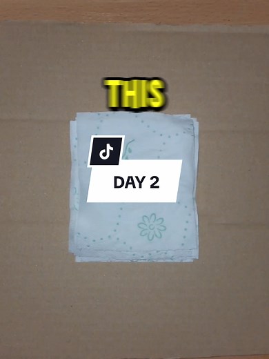 Building a Tower with Toilet Paper - Day 2